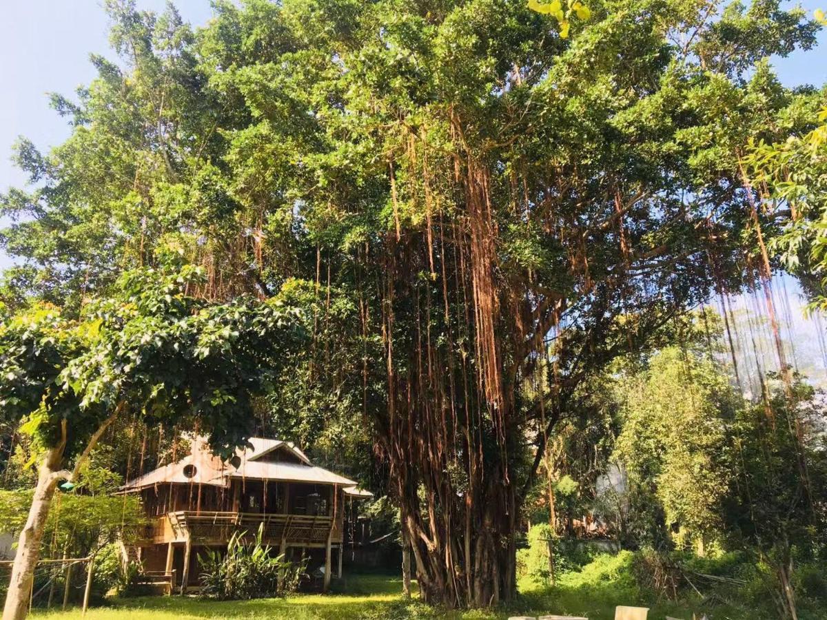 Golden Hut -Chill Bungalows In Town黄金泰式传统独栋小屋 Pai Exterior foto